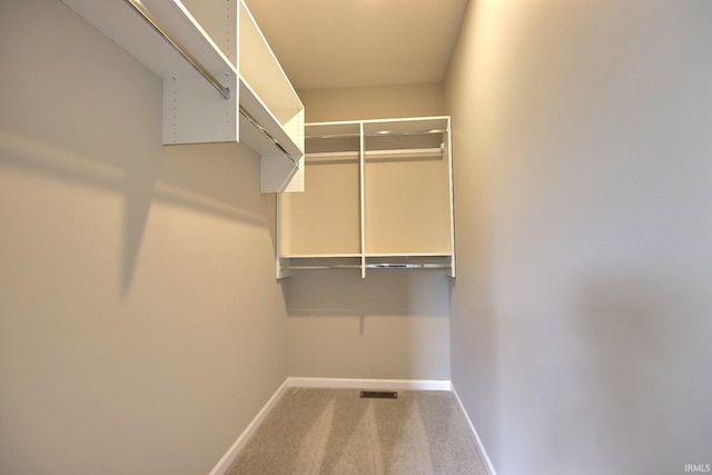 walk in closet featuring carpet floors