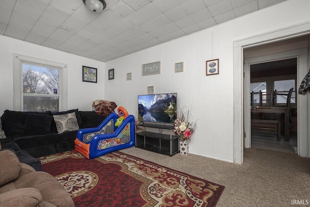 living room featuring light colored carpet