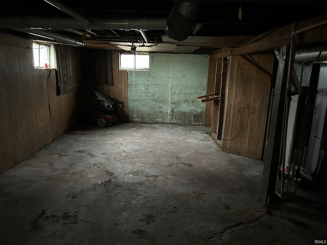 basement with wooden walls