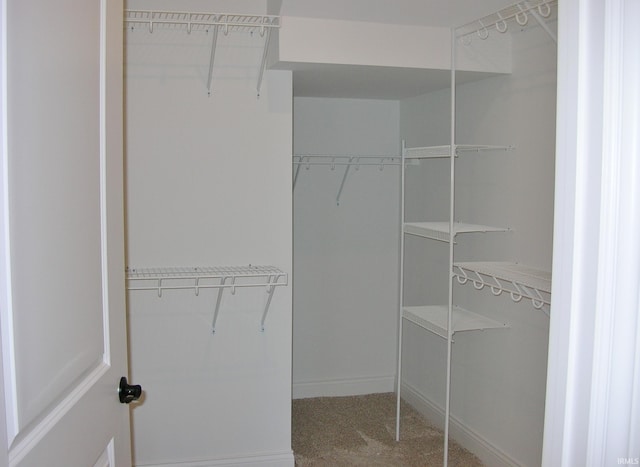 walk in closet featuring carpet flooring