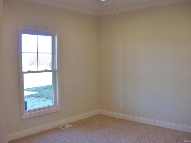 carpeted empty room featuring ornamental molding