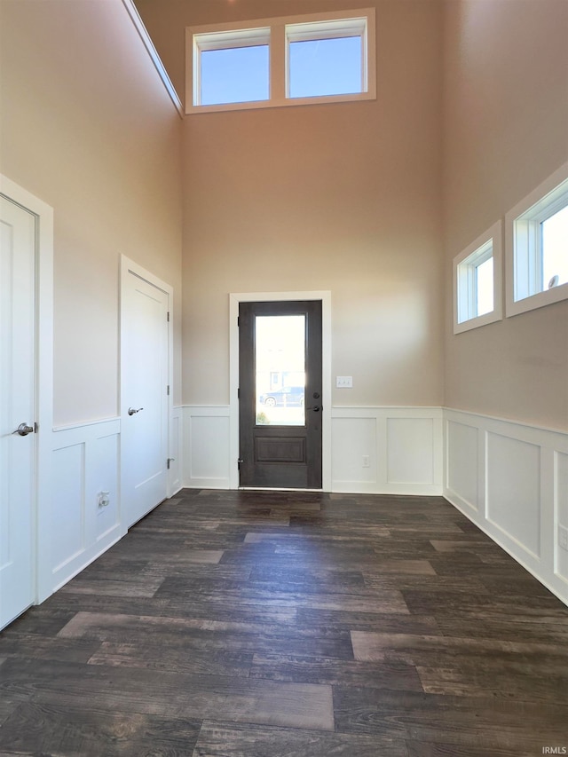 entrance foyer featuring dark hardwood / wood-style floors and a high ceiling