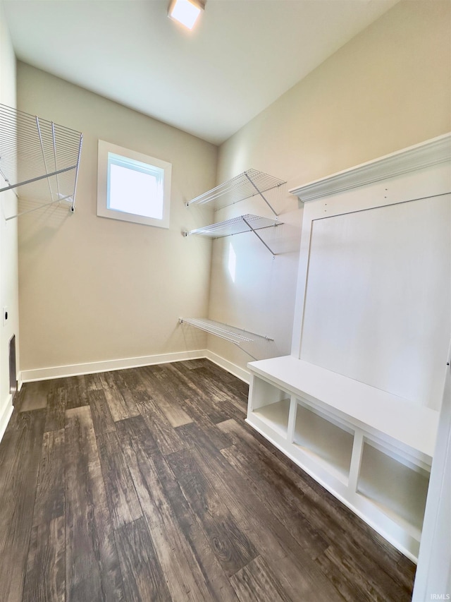 walk in closet featuring dark hardwood / wood-style flooring