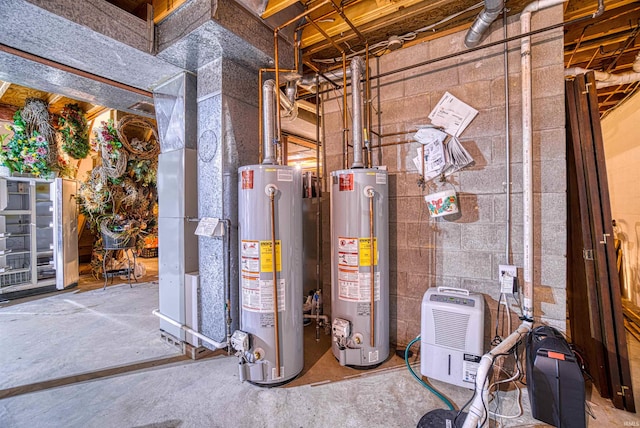 utility room with gas water heater