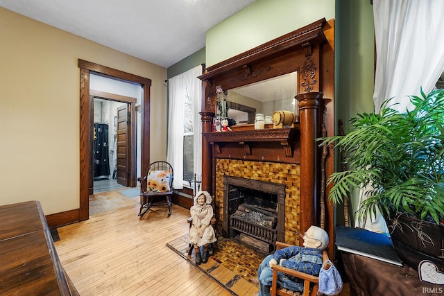 living room with a fireplace and light hardwood / wood-style flooring