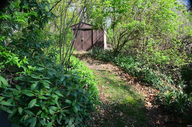 view of yard featuring a storage shed