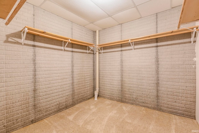 walk in closet featuring light carpet and a drop ceiling