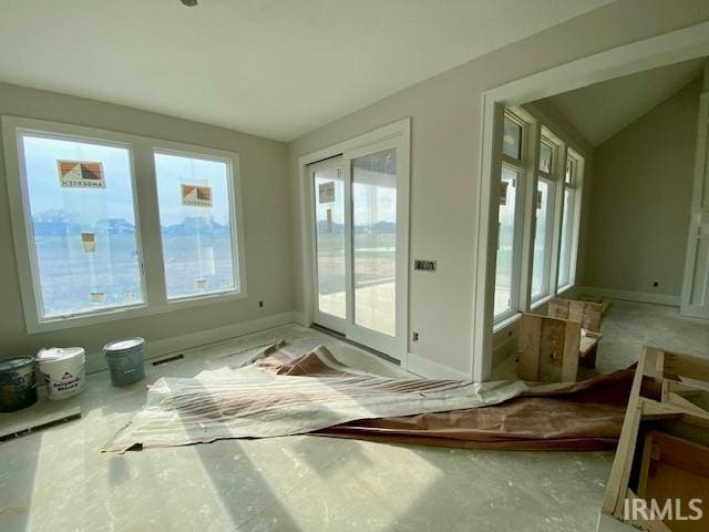 interior space featuring a healthy amount of sunlight and vaulted ceiling