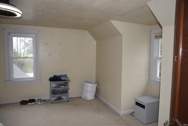 additional living space featuring light carpet