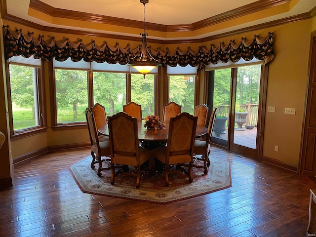 dining space with a tray ceiling, dark wood-type flooring, and ornamental molding