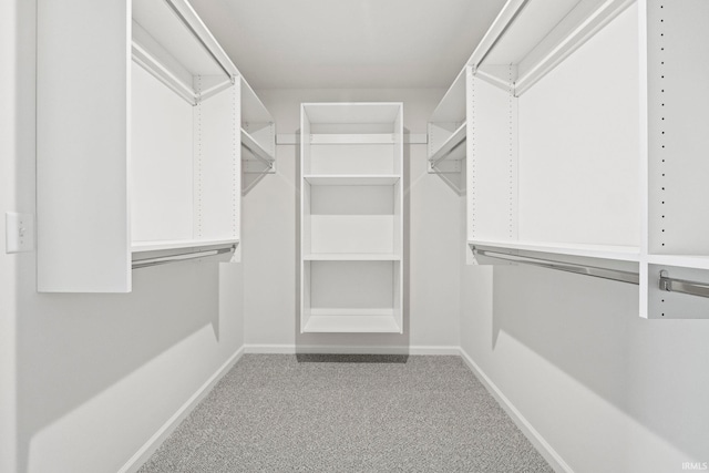 walk in closet with light carpet