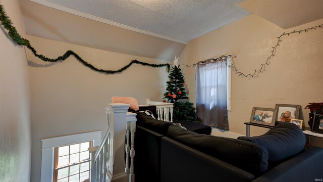 living room featuring lofted ceiling and a textured ceiling