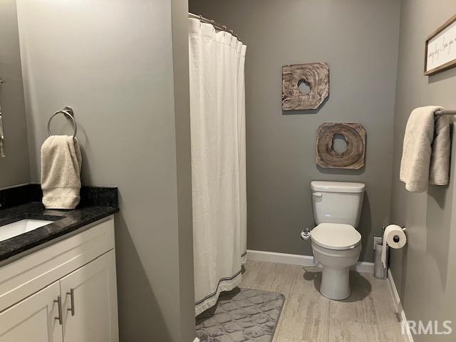 bathroom featuring toilet, vanity, and wood-type flooring