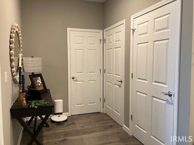 doorway to outside with dark hardwood / wood-style floors