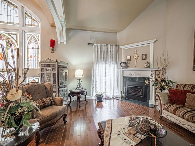 living room with high vaulted ceiling and hardwood / wood-style floors