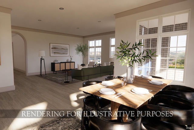 dining space featuring a healthy amount of sunlight and hardwood / wood-style flooring