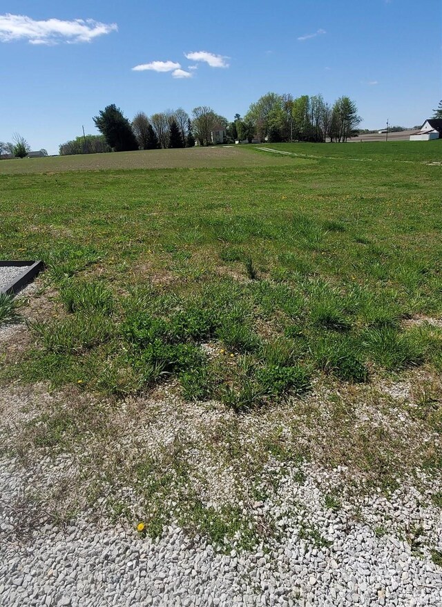 view of yard featuring a rural view