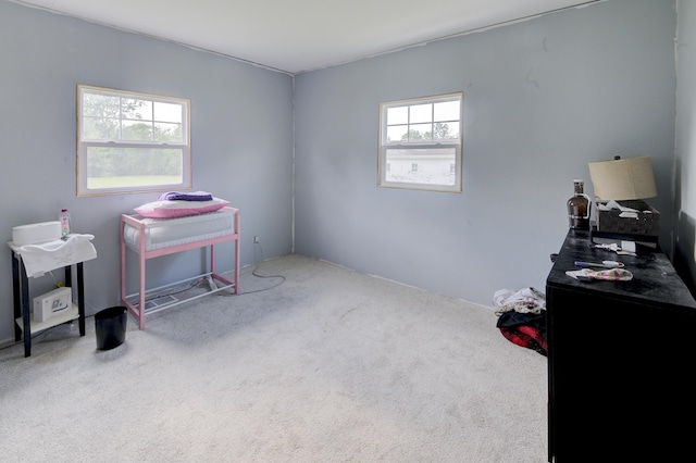 miscellaneous room with carpet