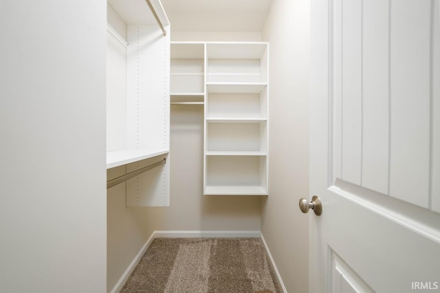 walk in closet featuring carpet flooring