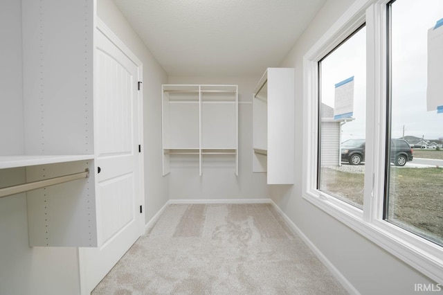 spacious closet with light colored carpet