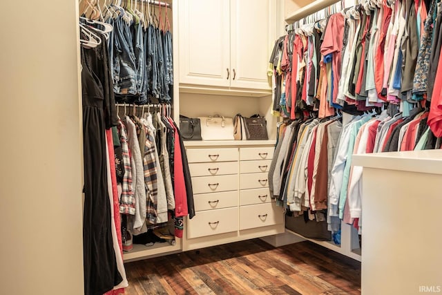 spacious closet with dark hardwood / wood-style flooring