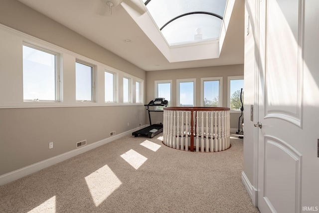 bonus room with a skylight and carpet floors