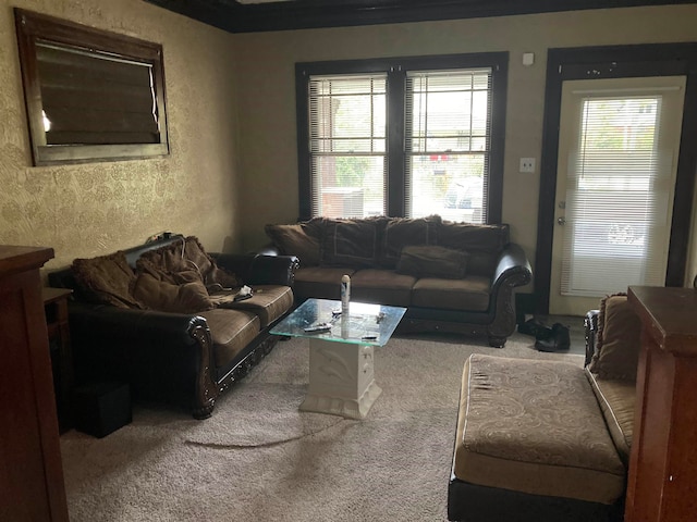 carpeted living room with plenty of natural light