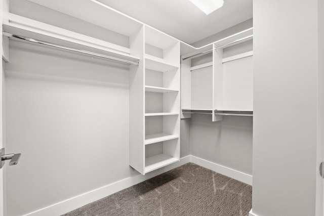 19 Ln 345 Crooked Lk, Angola, IN 46703 - spacious closet featuring dark carpet