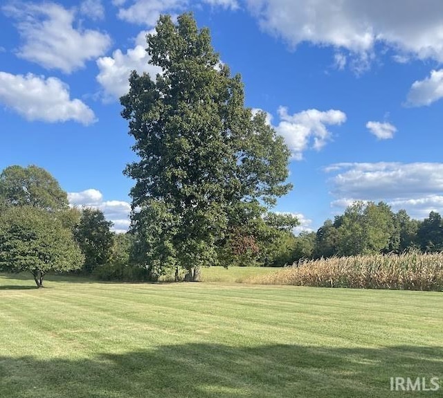 260 Lyons Ln, Heltonville, IN 47436 - view of yard