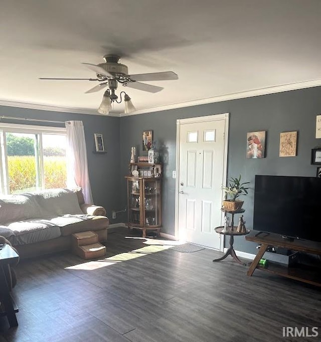 living room featuring crown molding, dark wood-type flooring, and ceiling fan