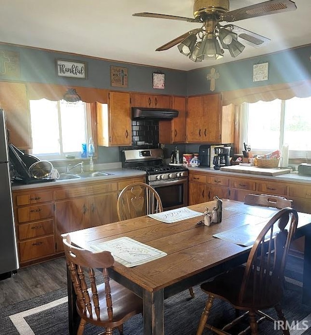 260 Lyons Ln, Heltonville, IN 47436 - kitchen with ceiling fan, sink, fume extractor, dark hardwood / wood-style flooring, and stainless steel appliances
