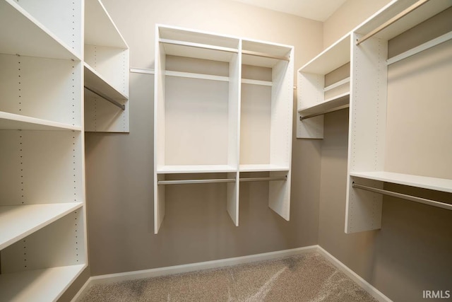 walk in closet featuring carpet flooring