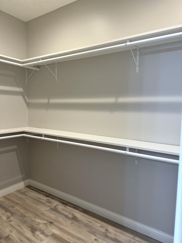 walk in closet with hardwood / wood-style flooring