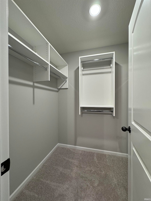 spacious closet featuring carpet floors