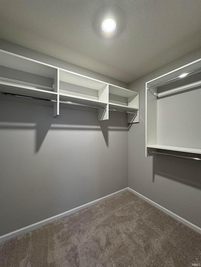 spacious closet featuring carpet flooring