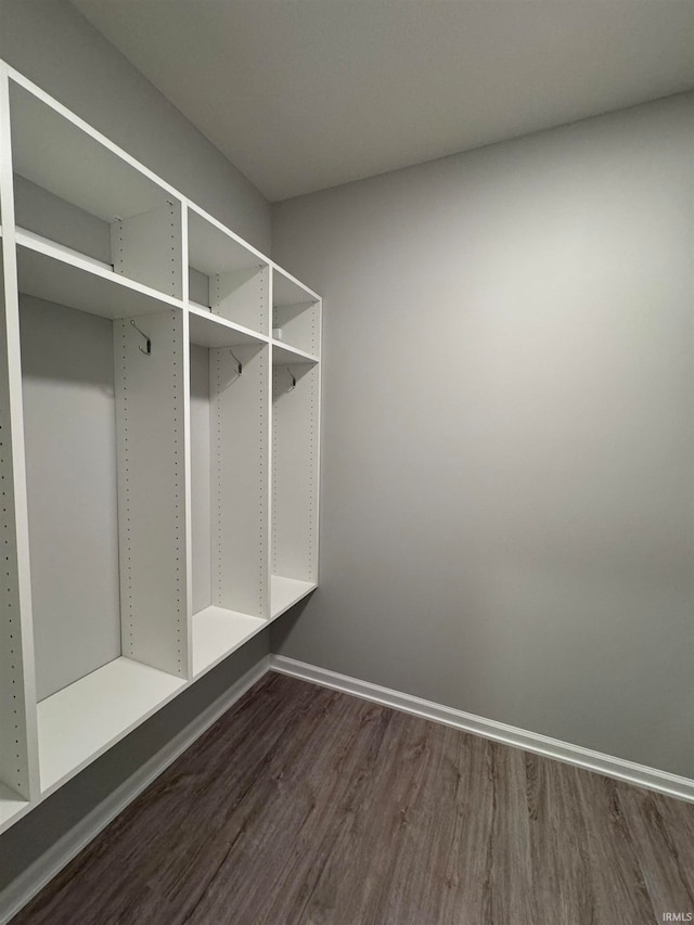 mudroom with dark hardwood / wood-style floors