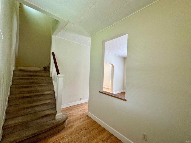 staircase with wood-type flooring