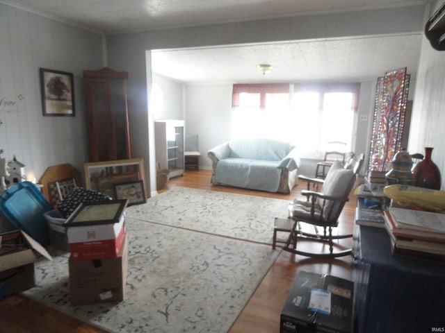 living room featuring wood-type flooring