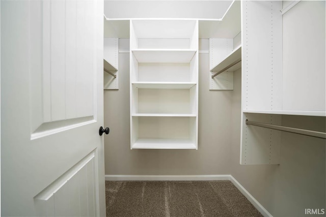 walk in closet featuring carpet