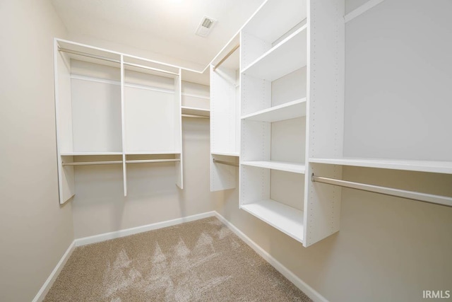 spacious closet featuring carpet