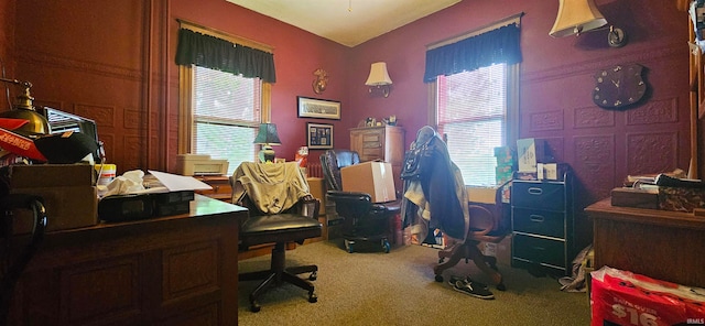 view of carpeted home office