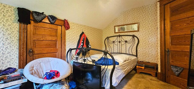 bedroom with lofted ceiling and carpet floors