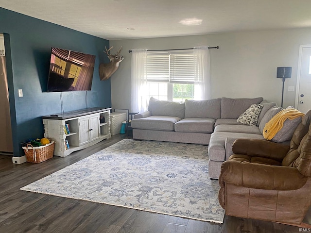 living room featuring dark wood-type flooring