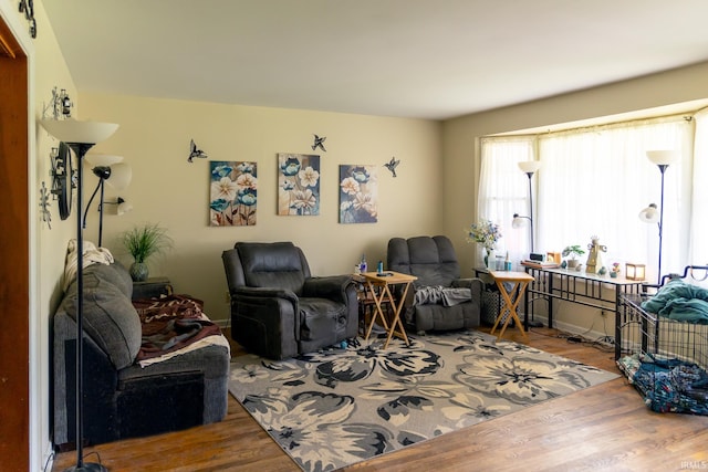 living room with hardwood / wood-style flooring