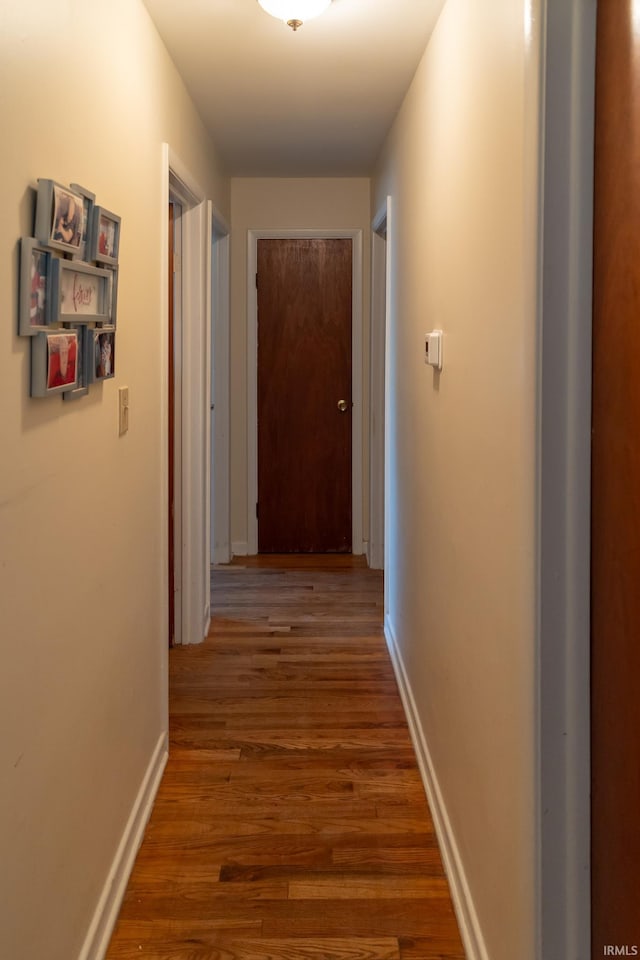 hall with dark hardwood / wood-style flooring