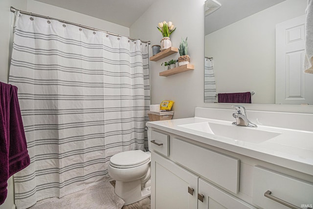 bathroom featuring toilet and vanity with extensive cabinet space