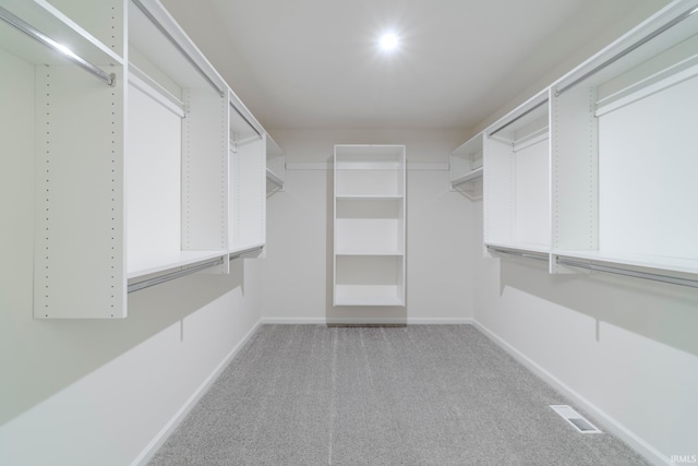 spacious closet with carpet