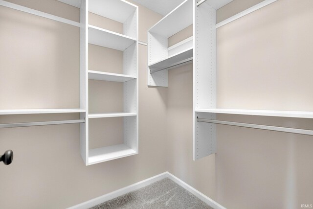 1016 Bryce Cir, Ligonier, IN 46767 - walk in closet with carpet flooring