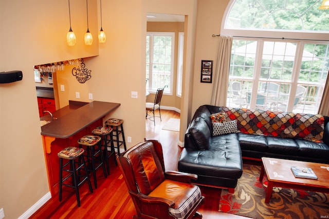 living room featuring hardwood / wood-style flooring