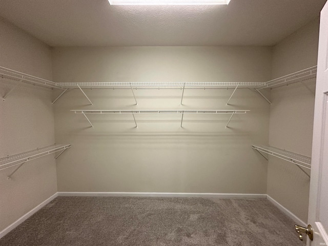 walk in closet featuring carpet